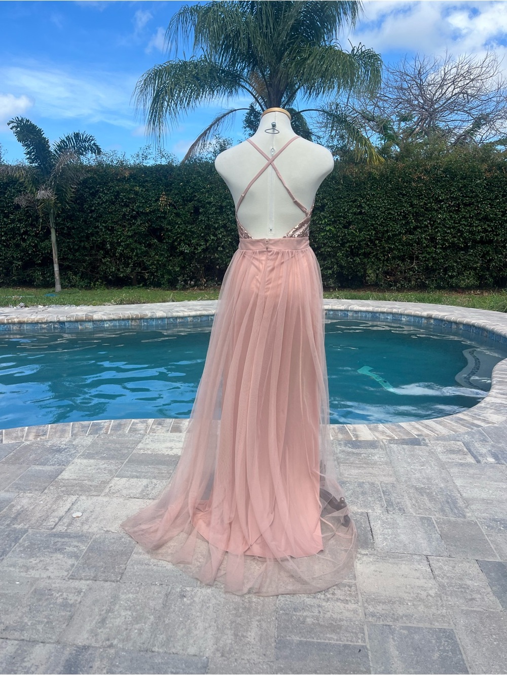 Plunge V-Neck Blush Pink Tulle Dress Prom - Picture 4 of 11